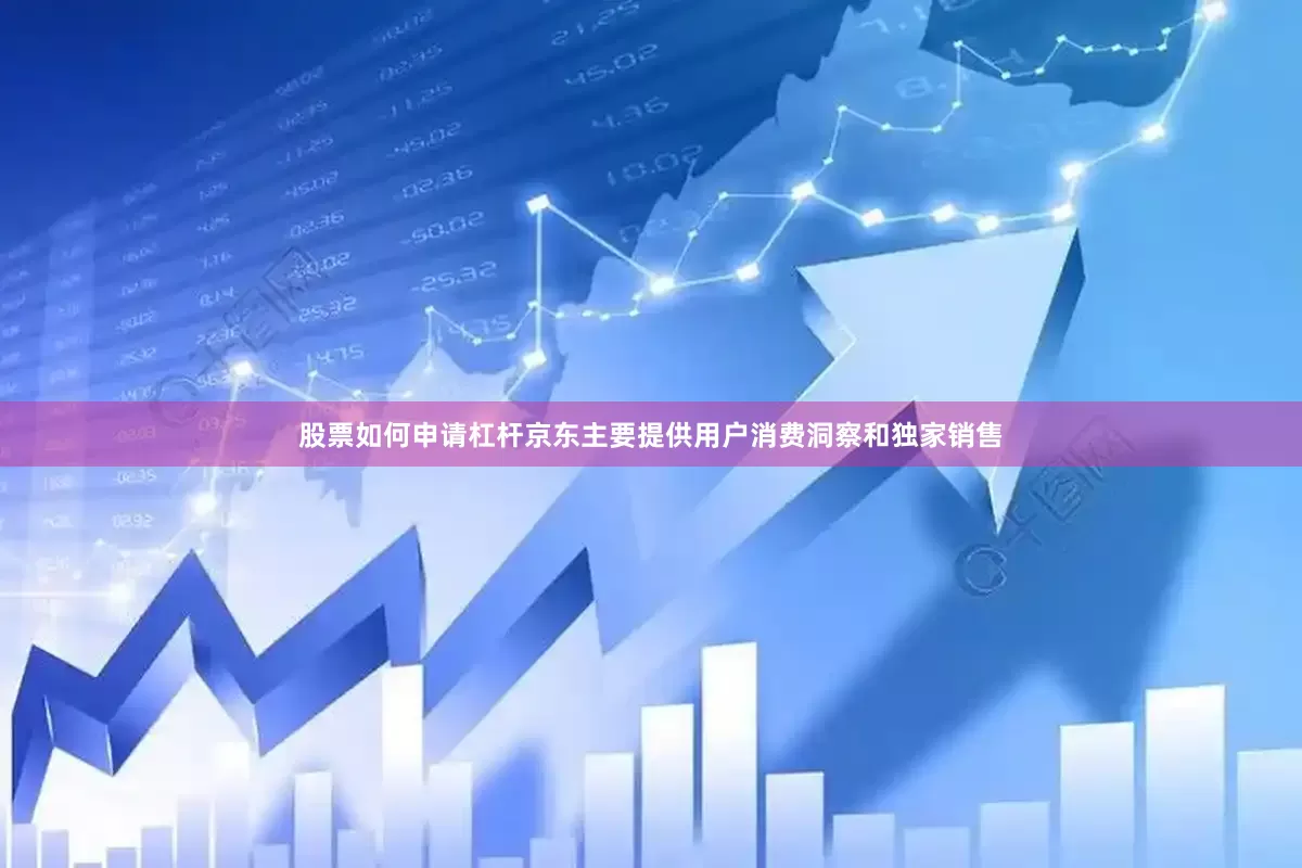 股票如何申请杠杆京东主要提供用户消费洞察和独家销售