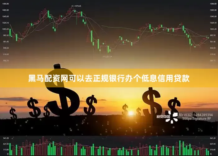 黑马配资网可以去正规银行办个低息信用贷款